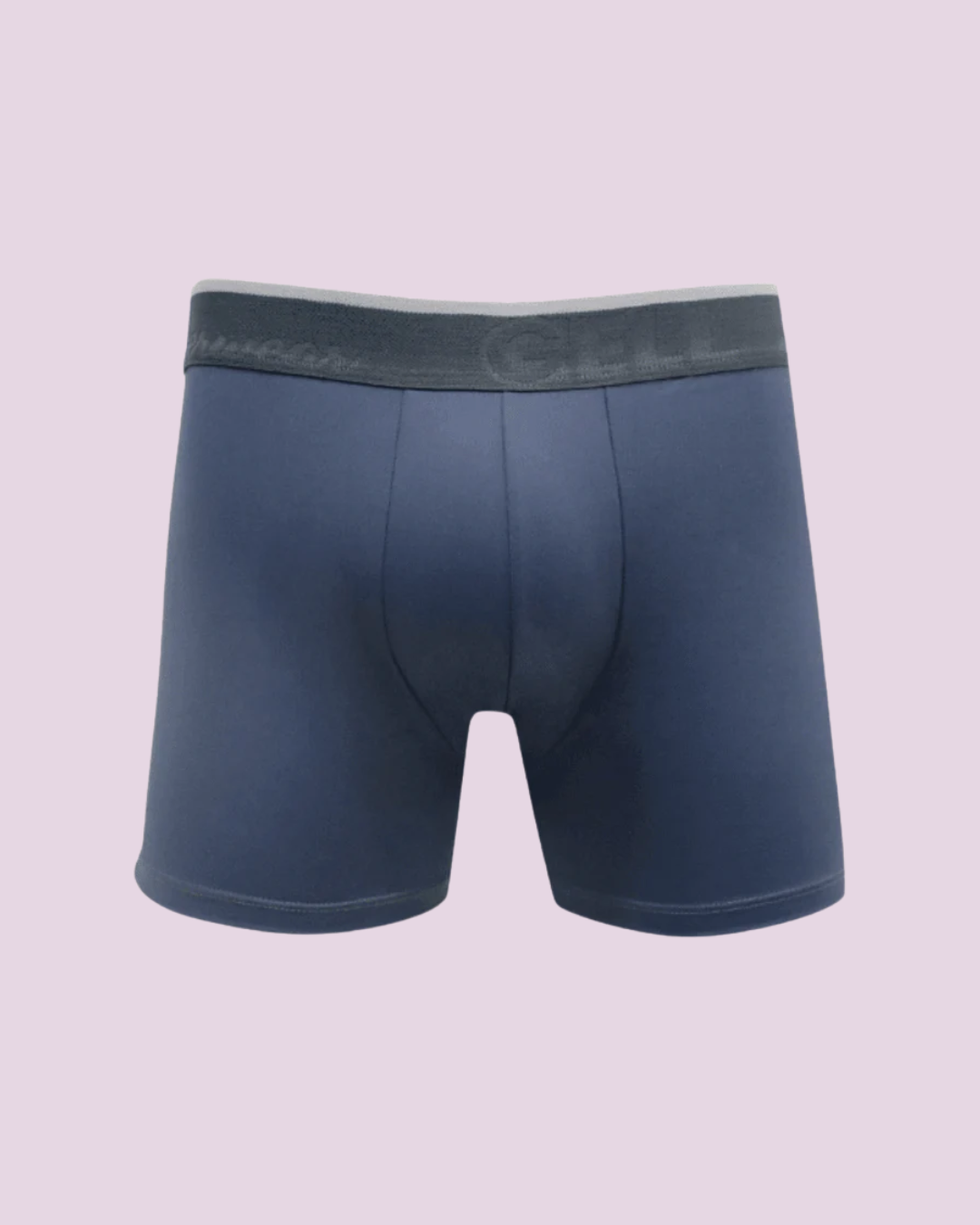 Cueca Boxer Microfibra Com Bojo