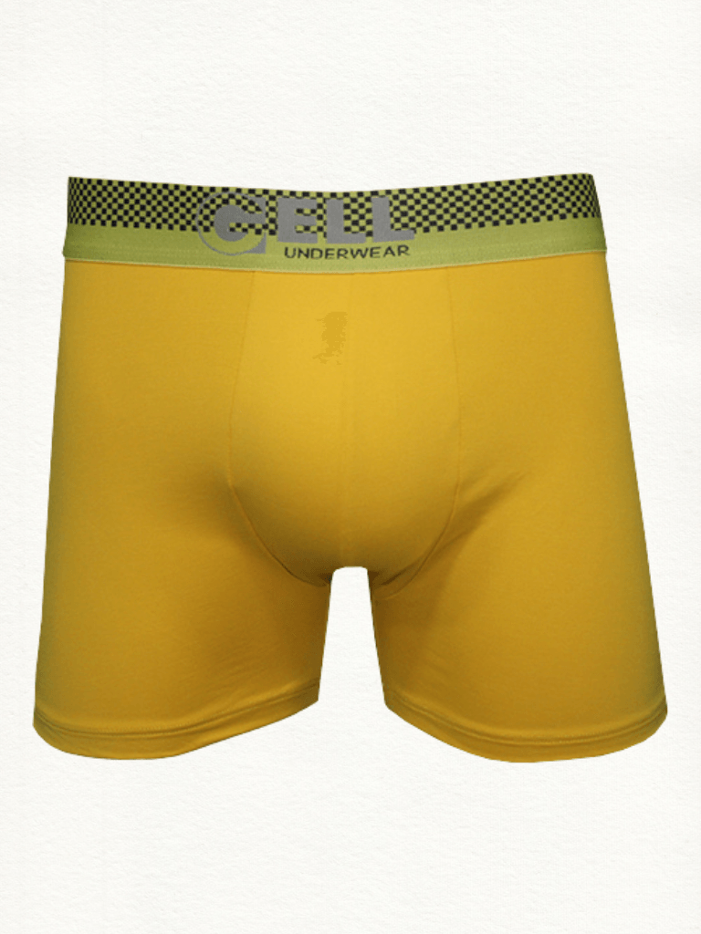 Cueca Boxer Microfibra Com Bojo - Gell Store