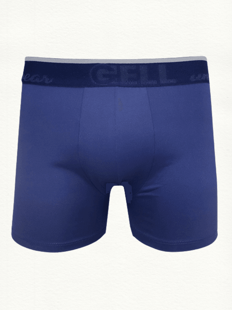 Cueca Boxer Microfibra Com Bojo - Gell Store