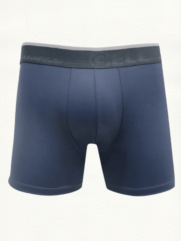 Cueca Boxer Microfibra Com Bojo - Gell Store