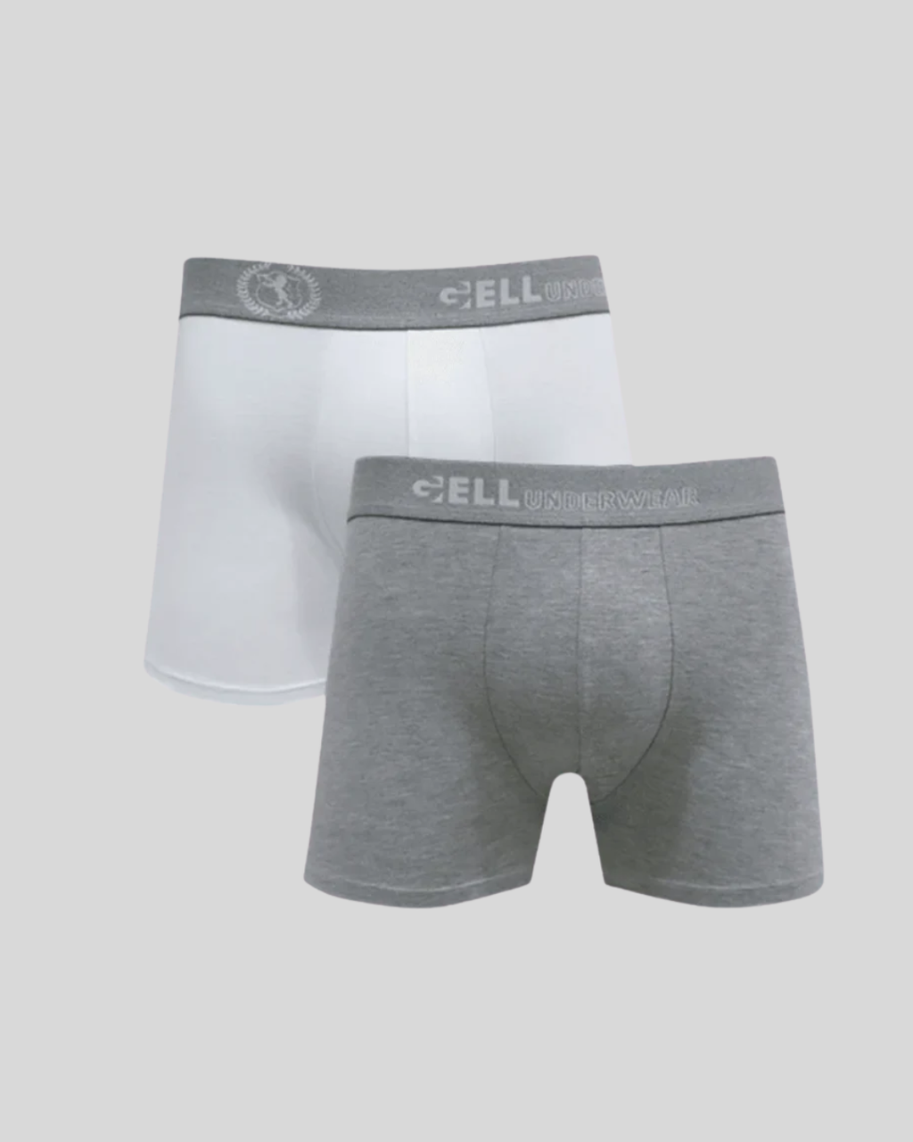 Kit 2 Cuecas Boxer Viscolycra Com Bojo