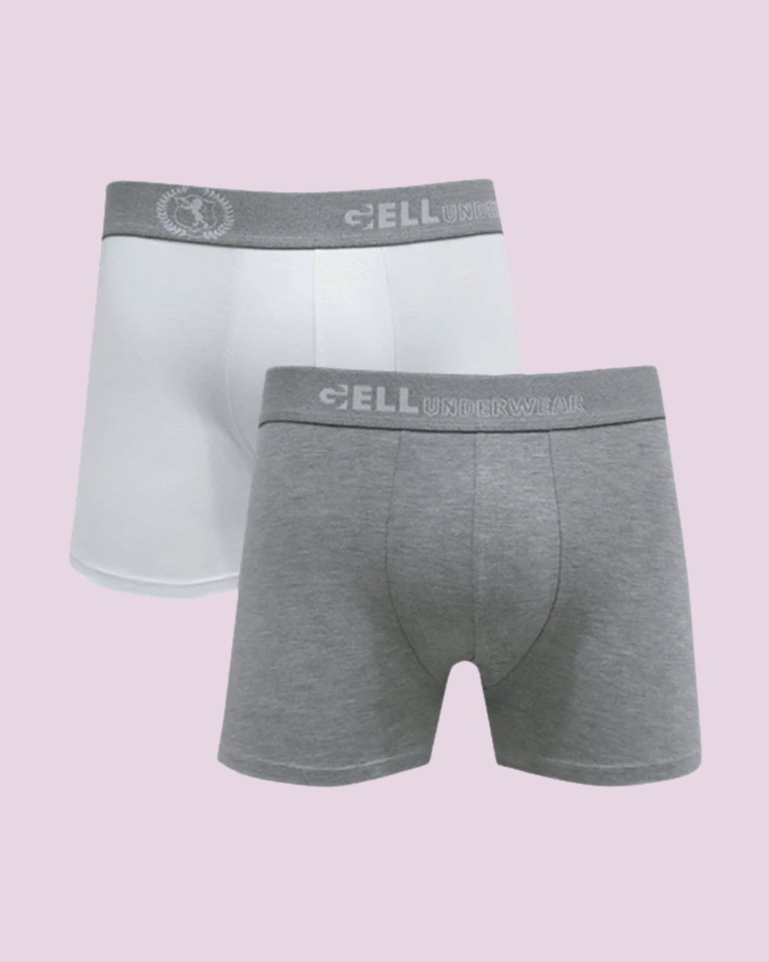 Kit 2 Cuecas Boxer Viscolycra Com Bojo
