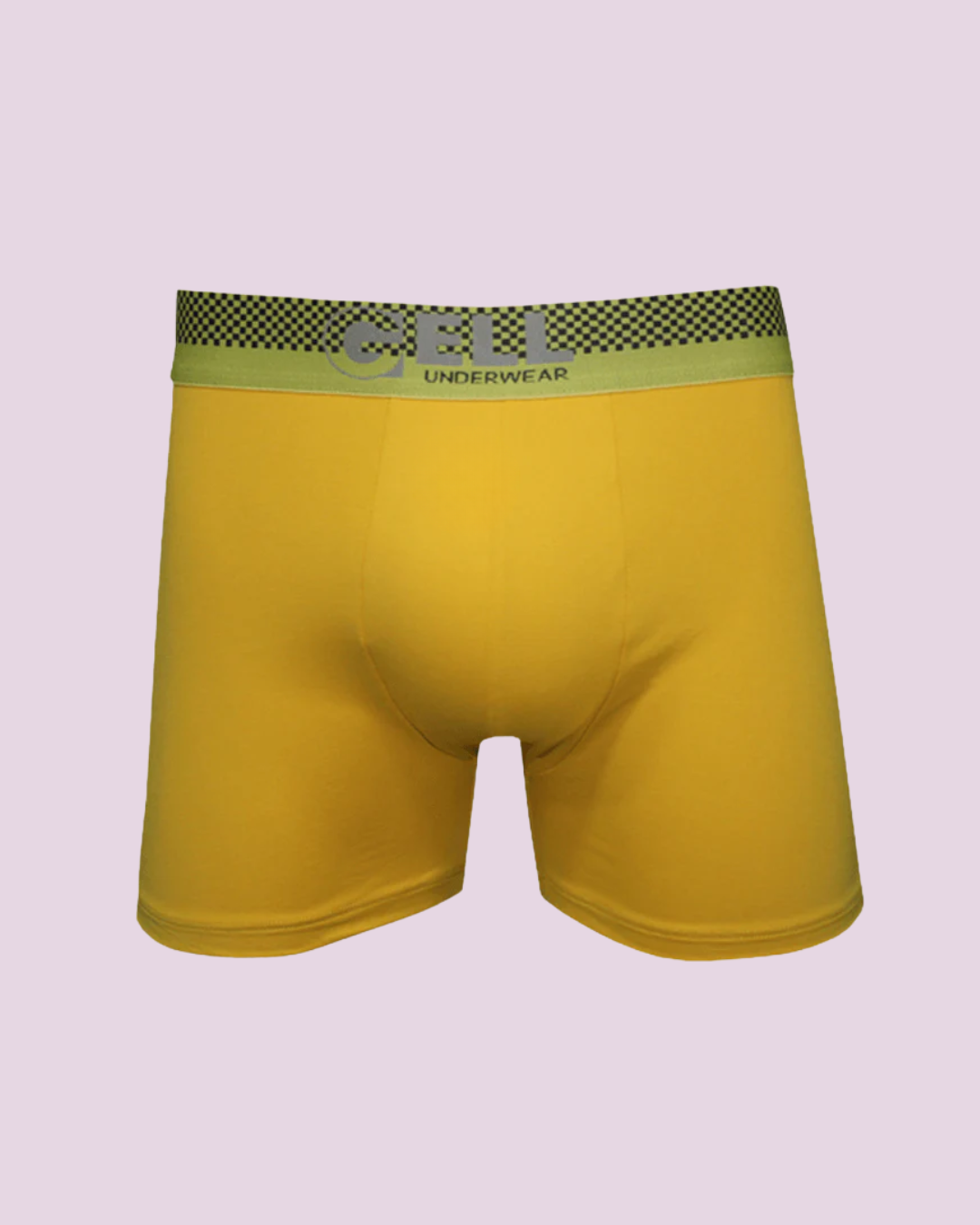 Cueca Boxer Microfibra Com Bojo