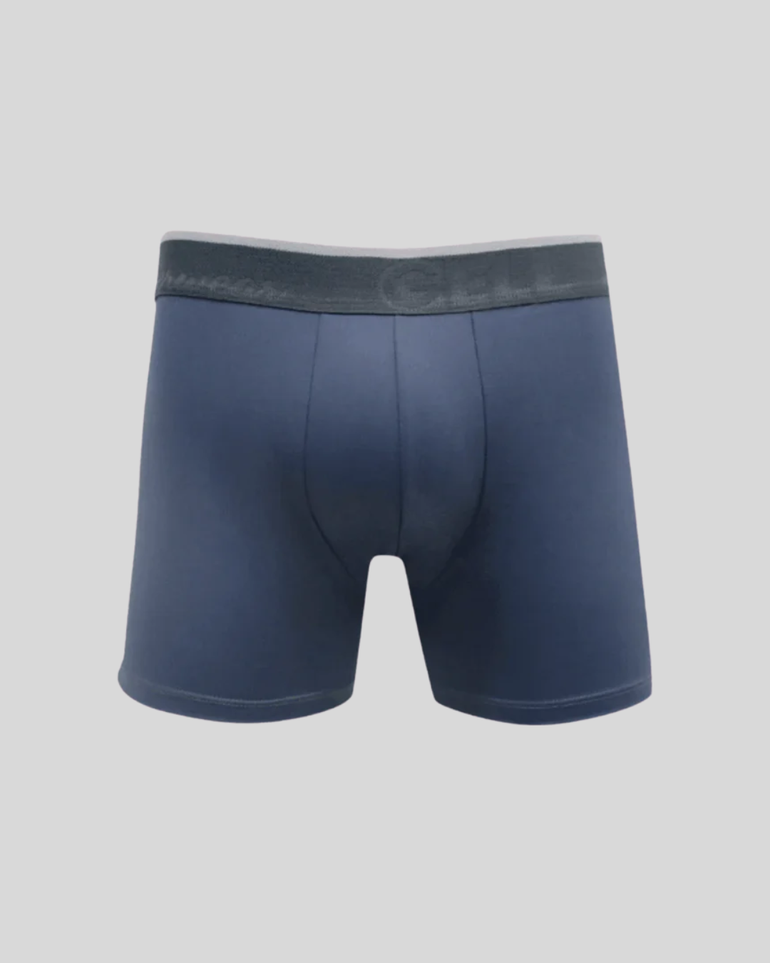 Cueca Boxer Microfibra Com Bojo
