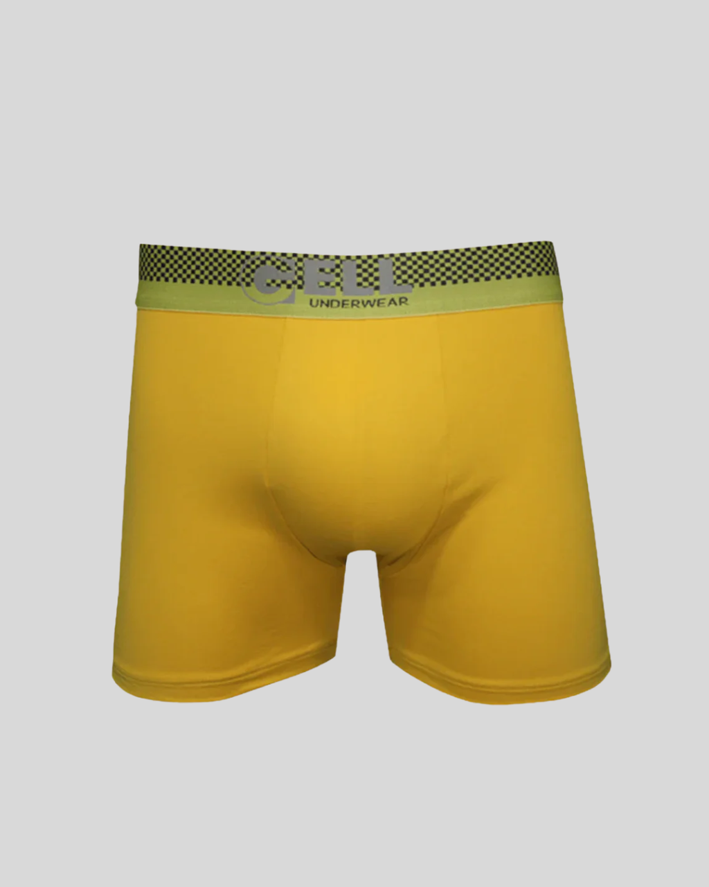 Cueca Boxer Microfibra Com Bojo