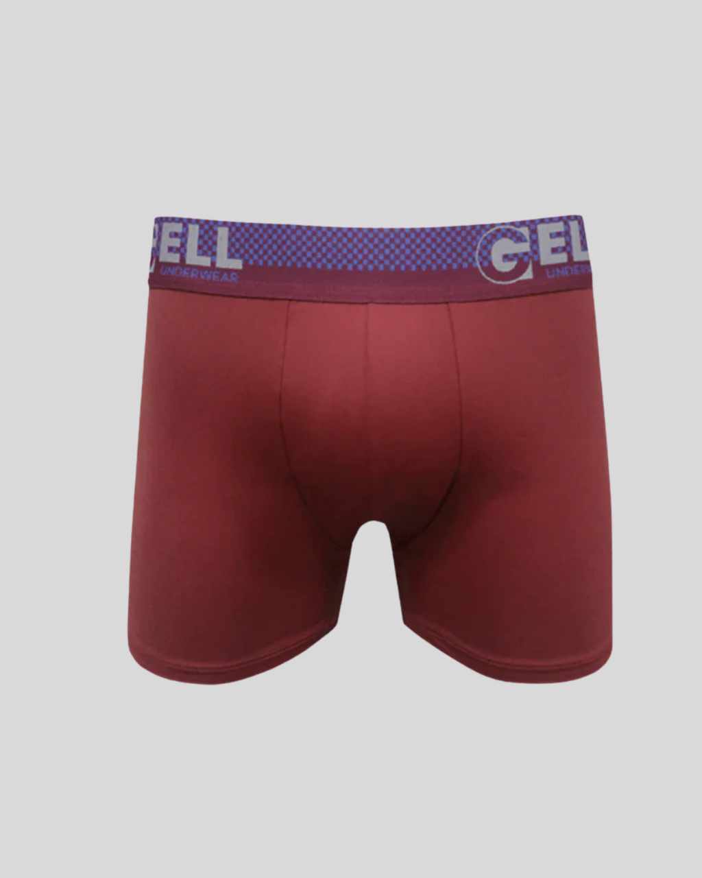 Cueca Boxer Microfibra Com Bojo