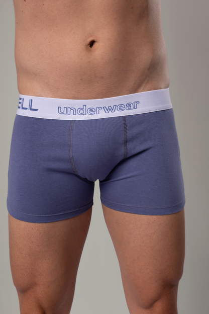 Kit 3 Cuecas Boxer Sunga Algodão Cotton Com Elástico Gell