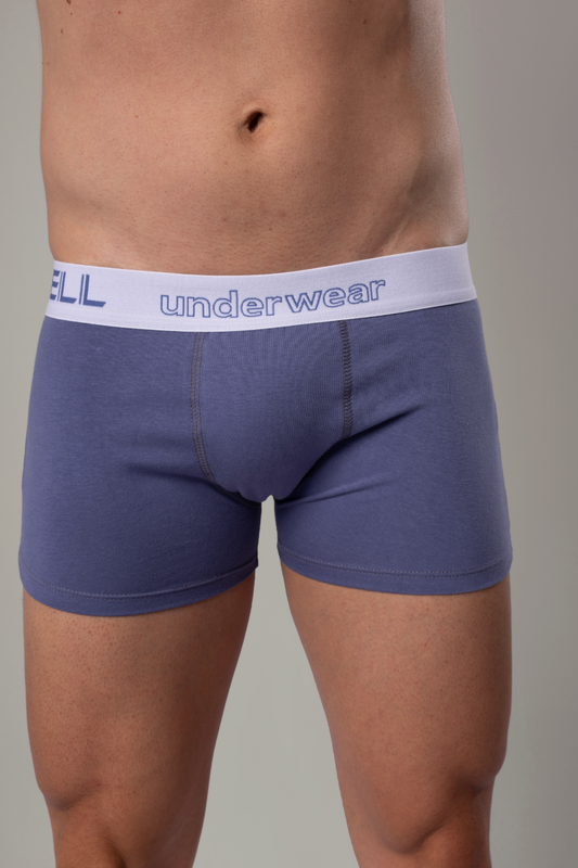 Kit 3 Cuecas Boxer Sunga Algodão Cotton Com Elástico Gell